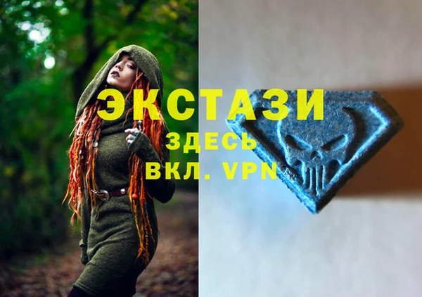 хмурый Арсеньев