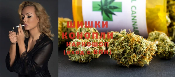 хмурый Арсеньев